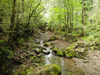愛媛県西予市　桂川渓谷の風景
