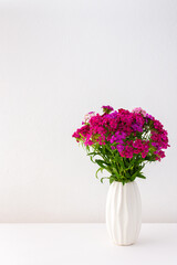 Beautiful summer carnation flowers in a white vase, part of home interior