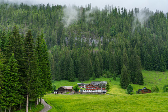 Urlaub im Kleinwalsertal: Wandern auch bei Regen, schlechtem Wetter in Österreich, Bayern - Haus, Gasthof im Wald