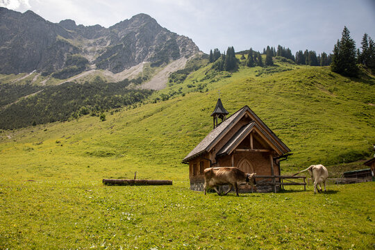 Little church in the european alps on a meadow with mountains in the background. At 1441 m high, besides the Steri Alps, Raggal, Austria