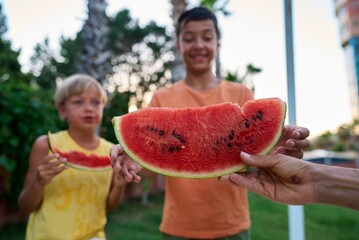 Two little children, boy brothers, eating watermelon in the park, summertime. High quality photo