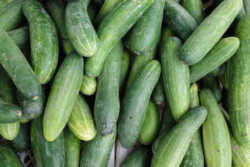 cucumbers in the market