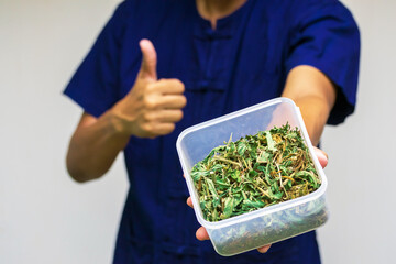 farmer wearing a mohom shirt standing raise dried cannabis.Morhom shirt is a unique identity of Thailand.