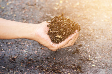 Handful of arable soil in hands of responsible farmer