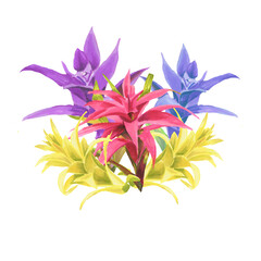 beautiful bright composition of flowers and leaves of bromeliads. An element of floral and wedding design