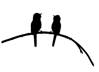 2 two couple pair birds on branch, silhouette