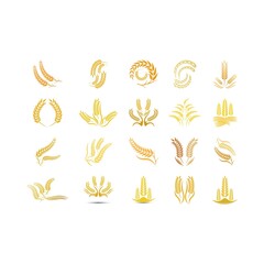 Wheat logo vector icon illustration