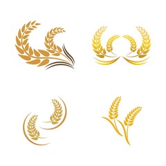 Wheat logo vector icon illustration