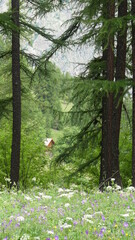 Cabane isol&eacute;e dans les montagnes