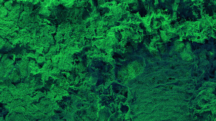 Obraz premium Millions of Tiny Green Particles Filling the screen with many Swirls and Waves on Black