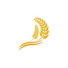 Wheat logo vector icon illustration
