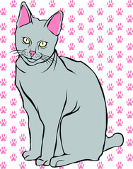 grey cat vector in pose with background pink paw texture for animal pet lovers
