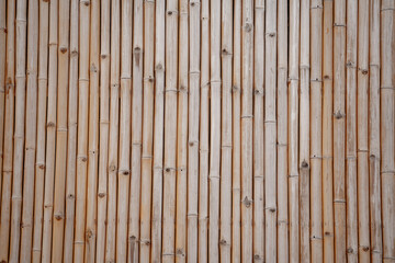 Background and texture of bamboo wall or fence
