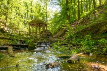 Mossy gazebo in a forest near a river