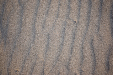 Sand dunes created by the wind. Lay flat