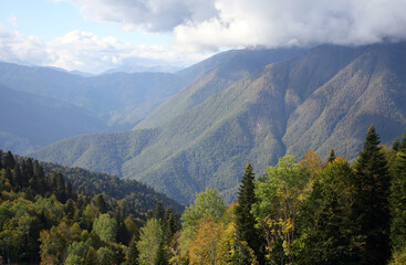 Fototapeta na wymiar mountains and forest in autumn