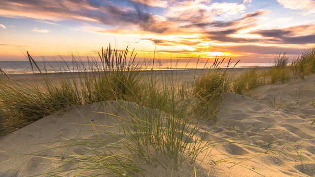 Strandhafer D&uuml;ne zu Sonnenuntergang an Nordsee