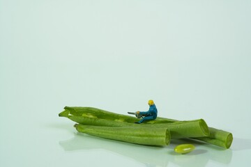 A worker with a chainsaw works on a snap bean