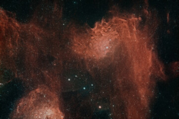 Flaming Star Nebula © Monty Chandler