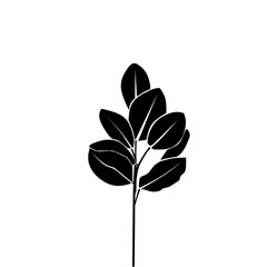 silhouette of a plant