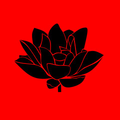 red lotus flower