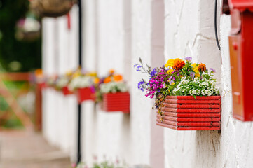 Red window flower boxes on a whitewashed cottage, Timahoe, County Laois, Republic of Ireland