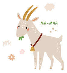 Cute goat talking. Animal on farm with ma-maa sound