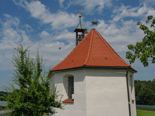 Weinberge am Bodensee