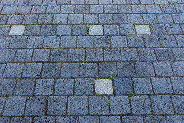 Grey granite square paving stones