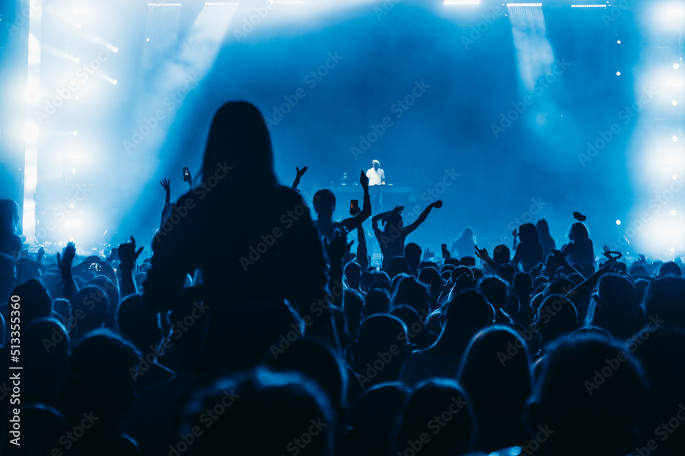 Wall mural Concert crowd on a music concert