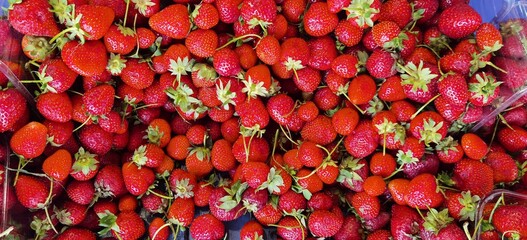 Many small delicious red strawberries