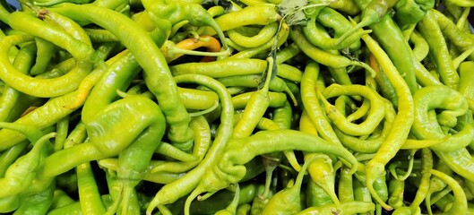Green peppers pointed and oblong