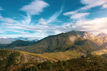 Landscape in Woolshed Creek | New Zealand