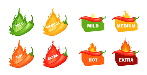 Hot spicy level with flame pepper. Infographic design template with red hot chili pepper on white background. Vector illustration