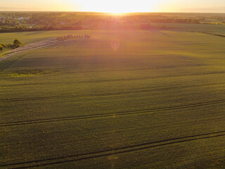 Aerial view with beautiful cereal field at sunset with a huge stone house in the middle of the field. The building resembles stonehenge. Smiltene stonehenge, Latvia