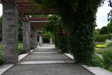Garden alley with pergola, green plants and flowers
