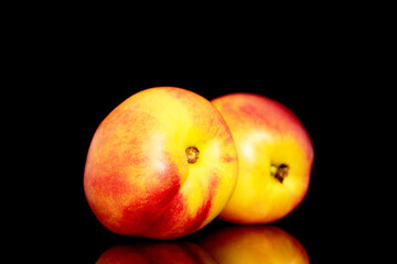 Two sweet organic nectarines, close-up isolated on a black background.