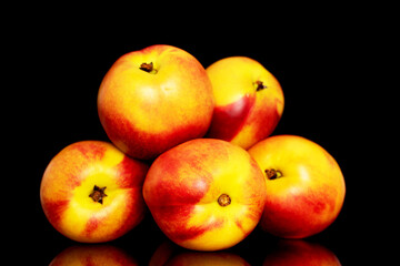Several sweet organic nectarines, close-up isolated on a black background.
