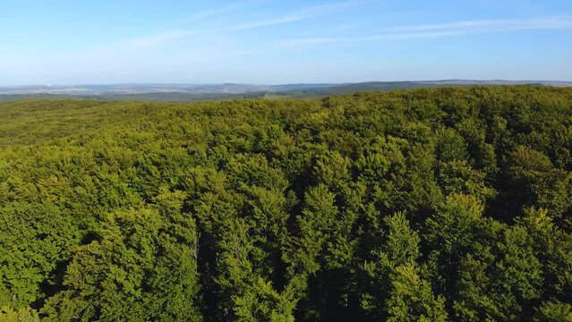 Cinematic aerial shot of calm autumn forest landscape during sunset. Big mixed woods in great wild nature. Gentle sunlight beams create light leaks. Travel destination idyllic nature