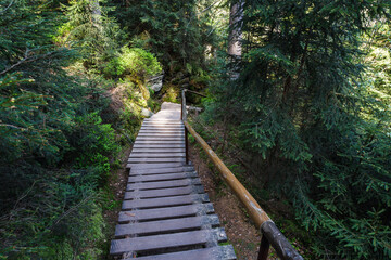Tourist pathway in in Adrspach Rocks, Czech Republic