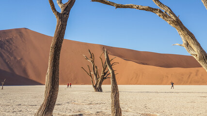 dead trees in sossuvley red dunes namibia