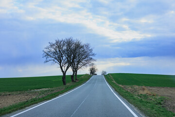 Photo of an asphalt road located between farmland and growing leafless trees with a heavily overcast sky.