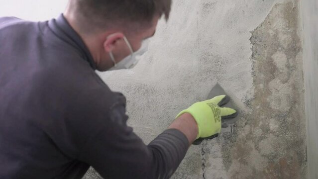 Removal of fungus and mold at home, peeling the first layer of fungus on the wall with a spatula.
