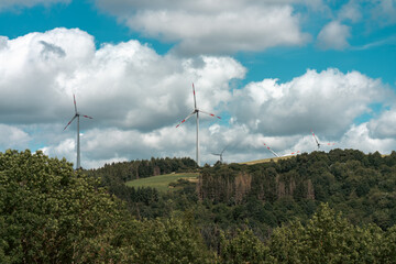 Windr&auml;der in der Natur