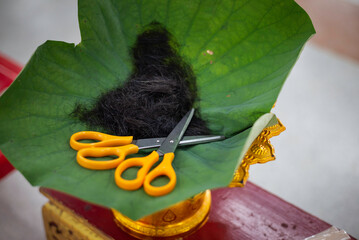 Hair, lotus leaf, scissors, ordination ceremony