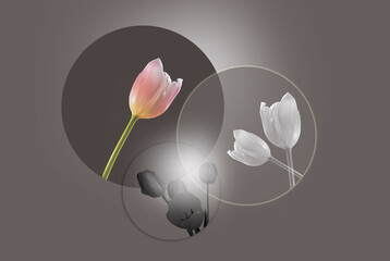 artistic wall art picture with flowers tulips in various circles  in pink white and gray colors 