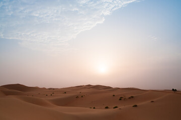 Fototapeta na wymiar Sun rising over the magical orange sand dunes of Al Wathba desert in Abu Dhabi, United Arab Emirates.