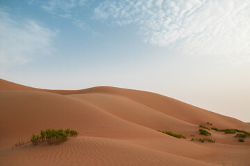 Fototapeta na wymiar Landscape of sand dune hills against a bright blue sky in Al Wathbah Desert in Abu Dhabi, United Arab Emirates.