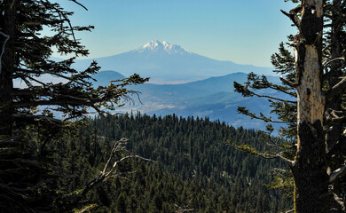 Mt. Shasta