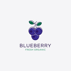 Blueberry Fruit logo design vector, Blueberry template illustration